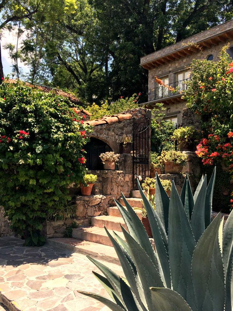 Casa Liza Bed and Breakfast San Miguel de Allende Eksteriør billede