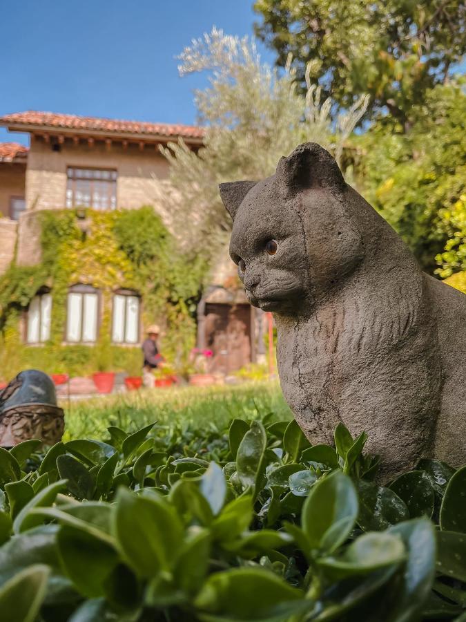 Casa Liza Bed and Breakfast San Miguel de Allende Eksteriør billede
